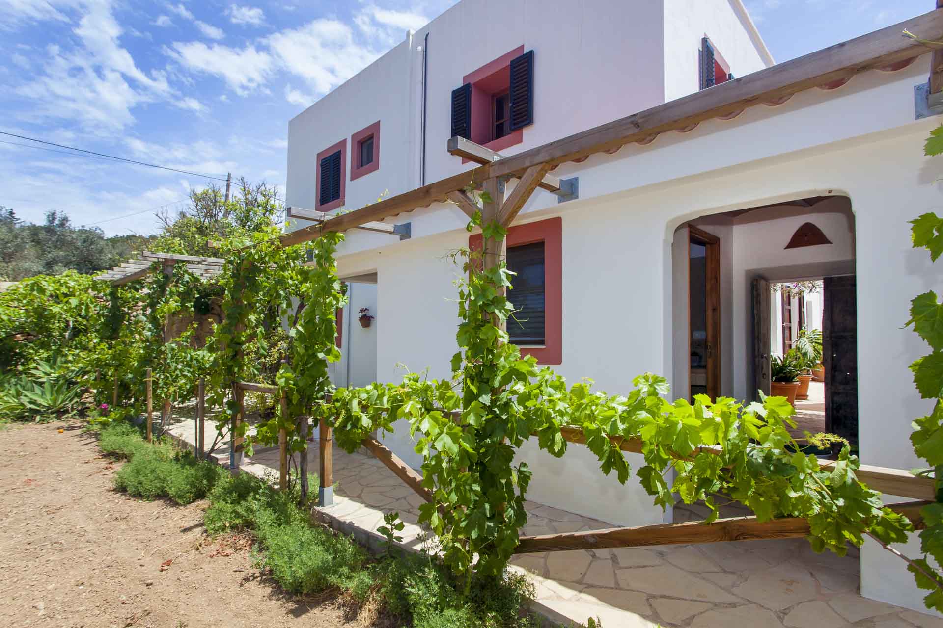 general view of a rental house with vineyard in ibiza